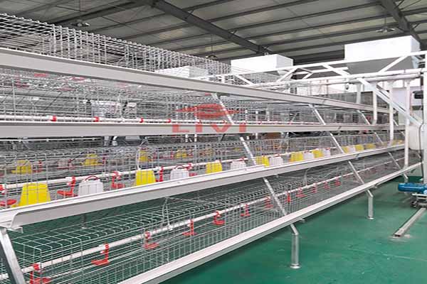 A type brood battery cage