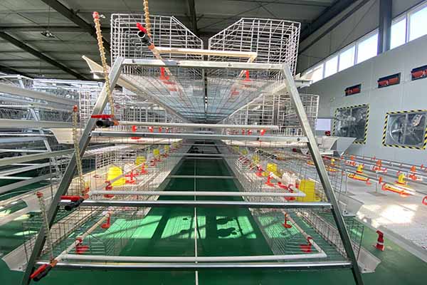 A type brood battery cage