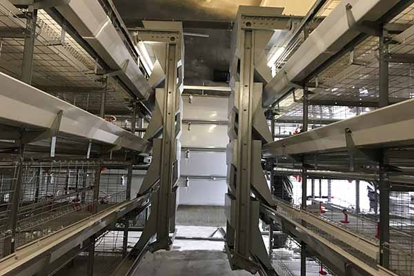 H type broiler battery cage