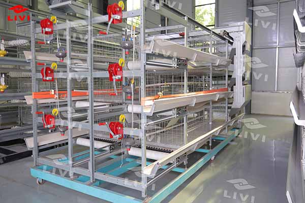 H type layer battery cage system