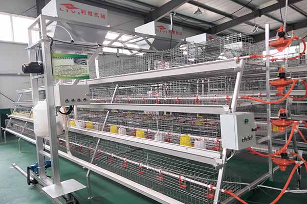A type brood battery cage