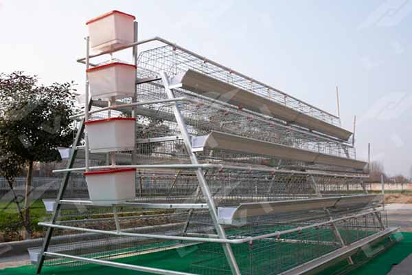 A type brood battery cage