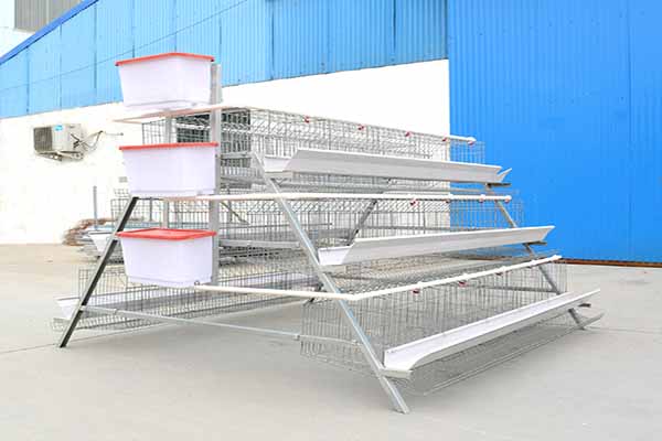a type layer battery cage 5000-30000 chickens