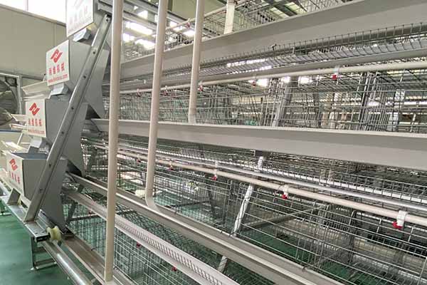 a type layer cage