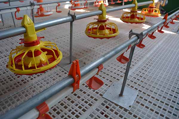 broiler floor raising system