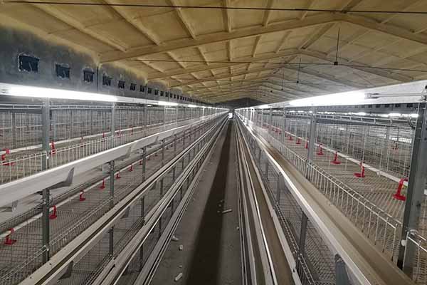 H type broiler battery cage