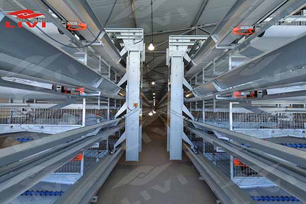 H type layer battery cage system