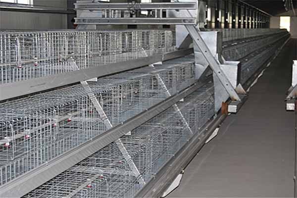 layer feeding system