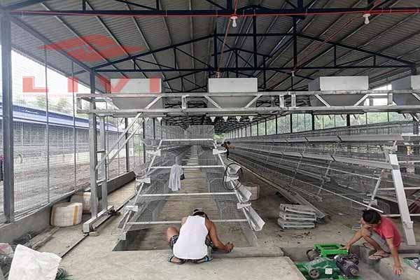 10000-layers-4-tiers-chicken-cage-for-sale-in-tanzania