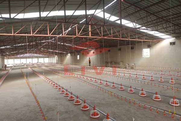 poultry flooring systems