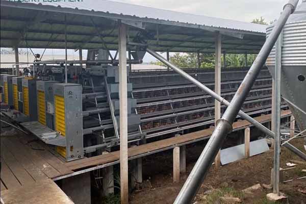 30000-layer-poultry-battery-cages-for-sale-in-philippines