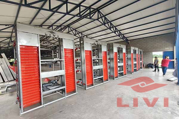 layer-battery-cages-large-scale-2小