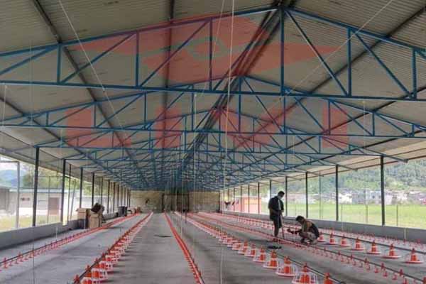 large-scale-broiler-farming-equipment-deep-litter-system-for-sale