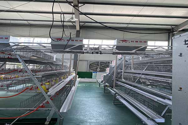 A type brood battery cage