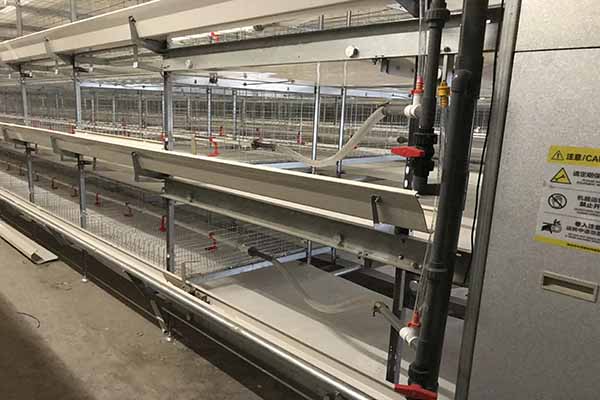 H type broiler battery cage