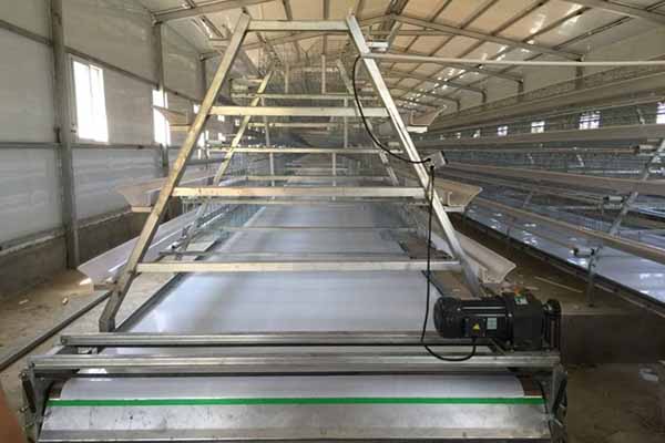 Chicken Manure Cleaning System