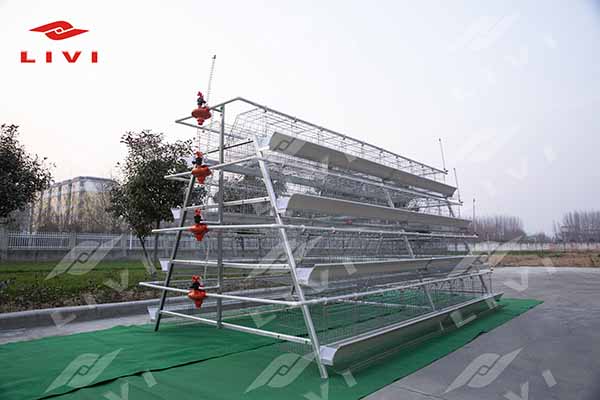 The Strongest Chicken Cage For Poultry Farming