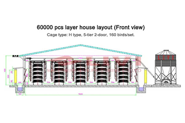 60000-layers-in-poultry-house-design