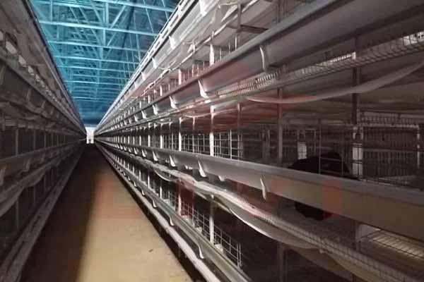 poultry-cages-for-sale-in-nigeria-to-raising-30000-layers