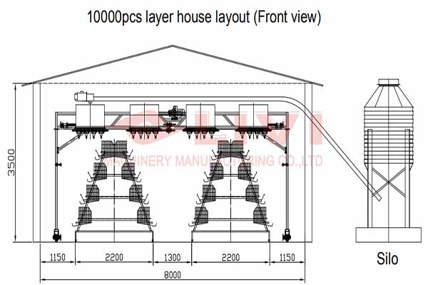 solution of 10000 chickens in layer battery cage system